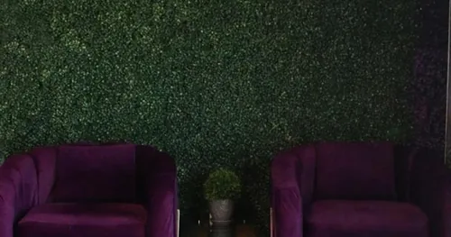 AM STUDIO & SPA®️, transplante capilar en San Juan del Río, Querétaro