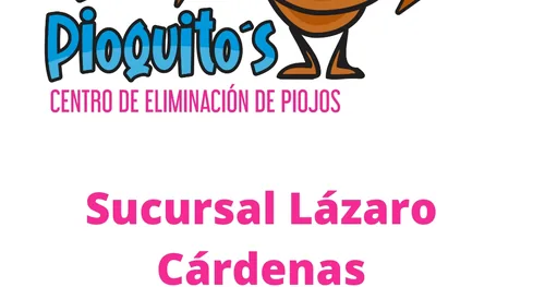Sin Pioquito’s centro de Eliminación de piojos Lázaro Cárdenas, transplante capilar en Lázaro Cárdenas, Michoacán